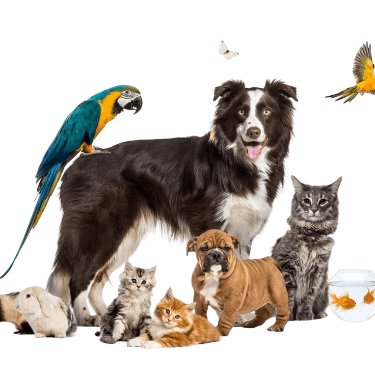 Mascotas Propet